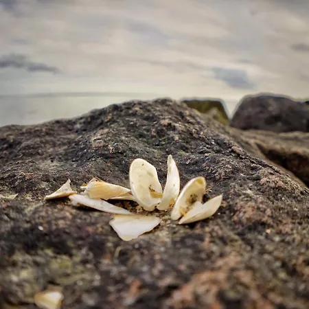 Boddenblick * Groß Zicker