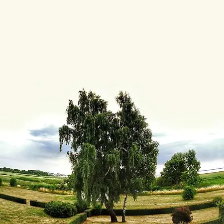 Boddenblick *