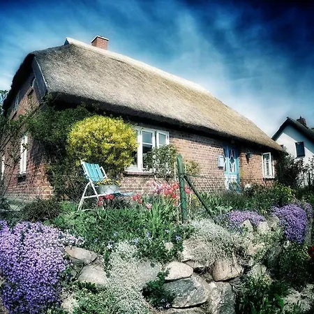 Boddenblick Appartement Groß Zicker