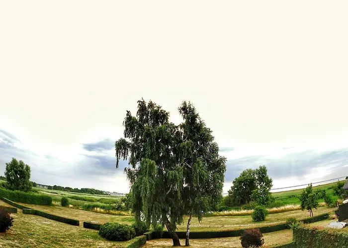 Boddenblick *